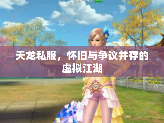 天龙私服，怀旧与争议并存的虚拟江湖