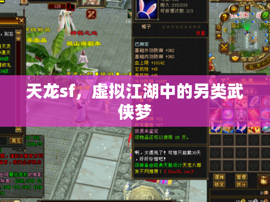 天龙sf，虚拟江湖中的另类武侠梦