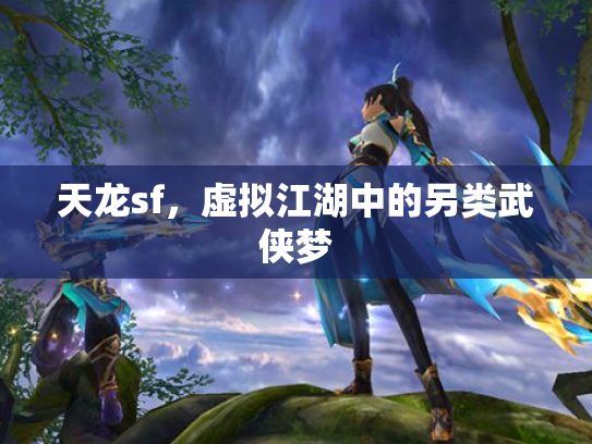 天龙sf，虚拟江湖中的另类武侠梦