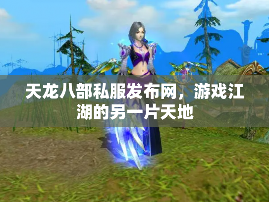 天龙八部私服发布网，游戏江湖的另一片天地