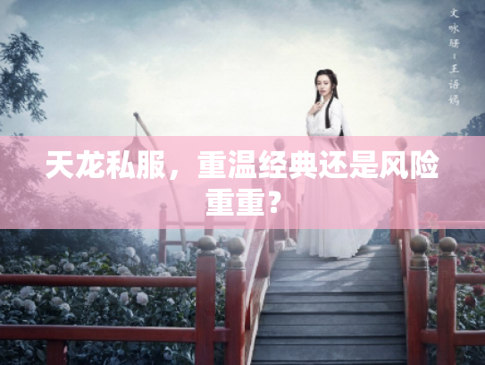 天龙私服，重温经典还是风险重重？