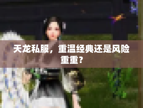 天龙私服，重温经典还是风险重重？