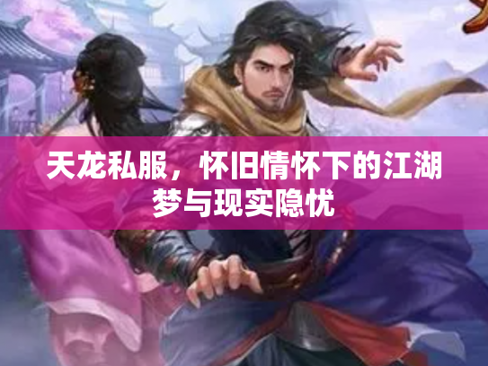 天龙私服，怀旧情怀下的江湖梦与现实隐忧