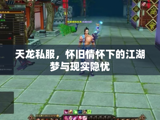 天龙私服，怀旧情怀下的江湖梦与现实隐忧