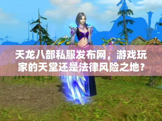 天龙八部私服发布网，游戏玩家的天堂还是法律风险之地？