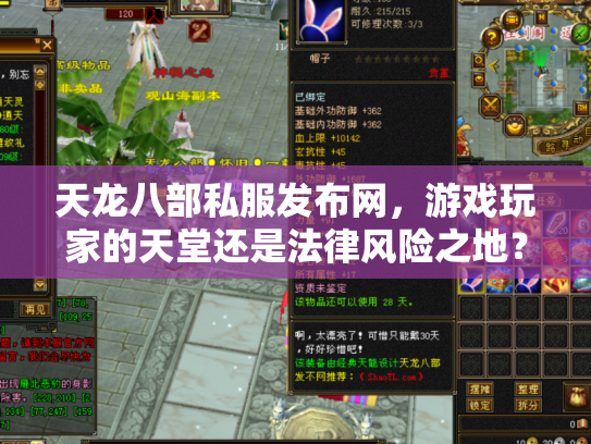 天龙八部私服发布网，游戏玩家的天堂还是法律风险之地？