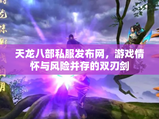 天龙八部私服发布网，游戏情怀与风险并存的双刃剑