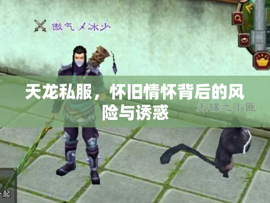 天龙私服，怀旧情怀背后的风险与诱惑