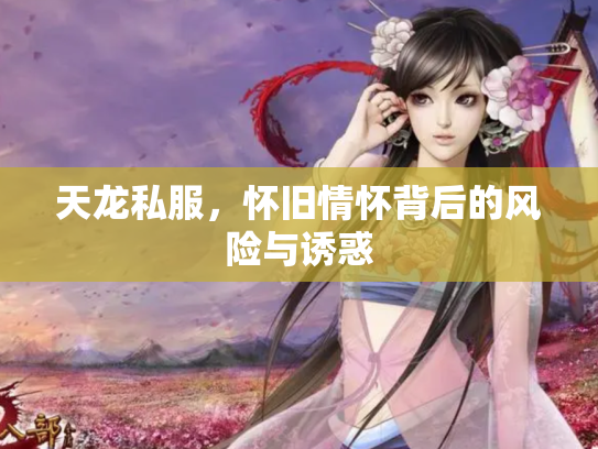 天龙私服，怀旧情怀背后的风险与诱惑