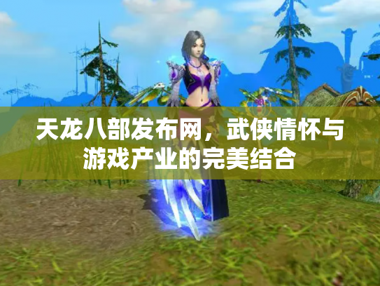 天龙八部发布网，武侠情怀与游戏产业的完美结合