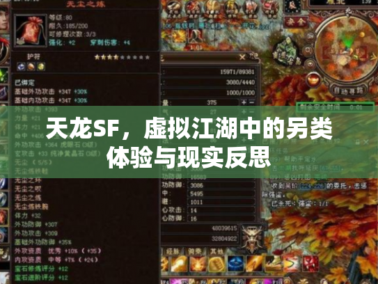 天龙SF，虚拟江湖中的另类体验与现实反思