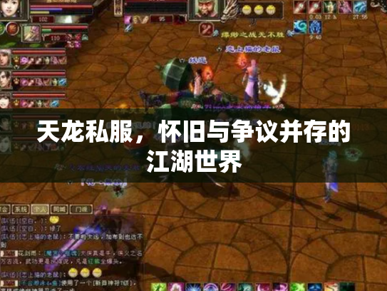 天龙私服，怀旧与争议并存的江湖世界