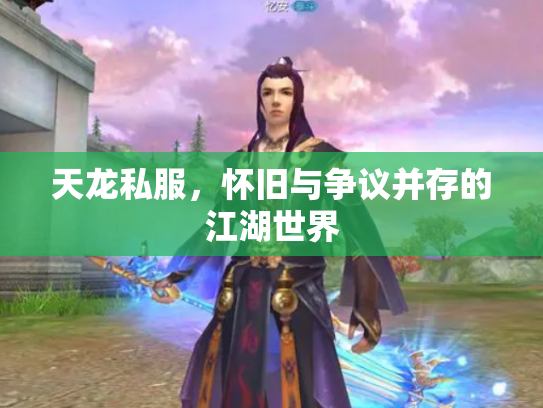 天龙私服，怀旧与争议并存的江湖世界
