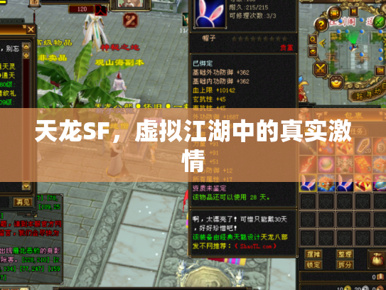 天龙SF，虚拟江湖中的真实激情