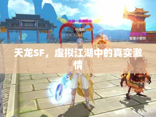 天龙SF，虚拟江湖中的真实激情