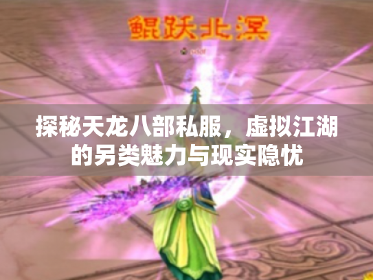 探秘天龙八部私服，虚拟江湖的另类魅力与现实隐忧