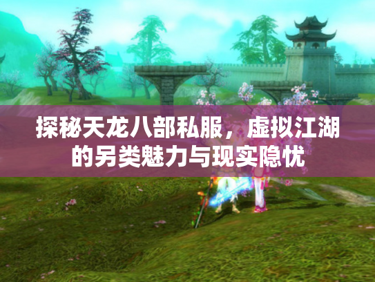 探秘天龙八部私服，虚拟江湖的另类魅力与现实隐忧