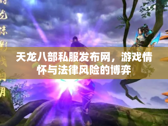 天龙八部私服发布网，游戏情怀与法律风险的博弈