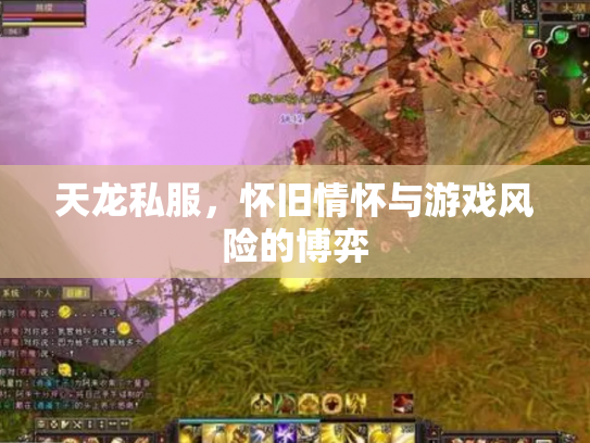 天龙私服，怀旧情怀与游戏风险的博弈