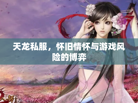 天龙私服，怀旧情怀与游戏风险的博弈