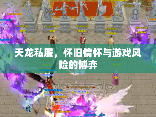 天龙私服，怀旧情怀与游戏风险的博弈