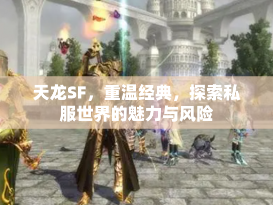 天龙SF，重温经典，探索私服世界的魅力与风险