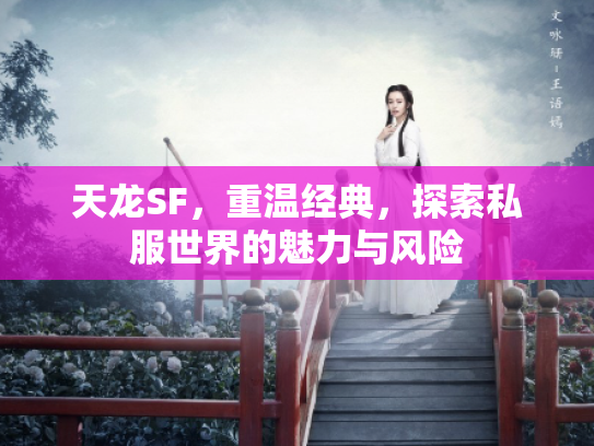 天龙SF，重温经典，探索私服世界的魅力与风险