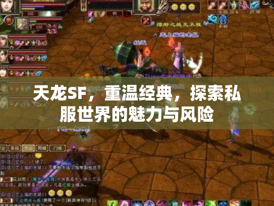 天龙SF，重温经典，探索私服世界的魅力与风险