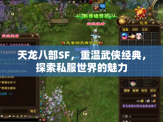 天龙八部SF，重温武侠经典，探索私服世界的魅力