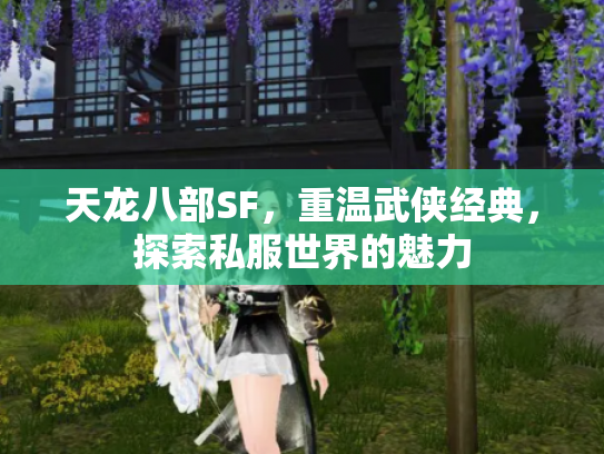 天龙八部SF，重温武侠经典，探索私服世界的魅力