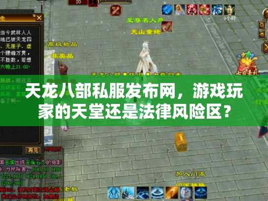 天龙八部私服发布网，游戏玩家的天堂还是法律风险区？