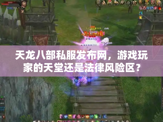 天龙八部私服发布网，游戏玩家的天堂还是法律风险区？
