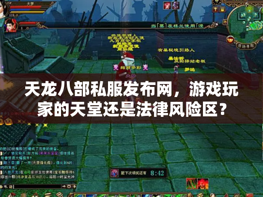 天龙八部私服发布网，游戏玩家的天堂还是法律风险区？