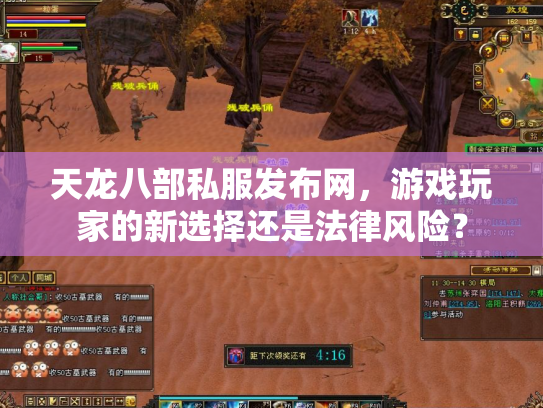 天龙八部私服发布网，游戏玩家的新选择还是法律风险？