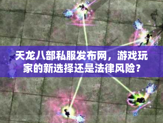 天龙八部私服发布网，游戏玩家的新选择还是法律风险？