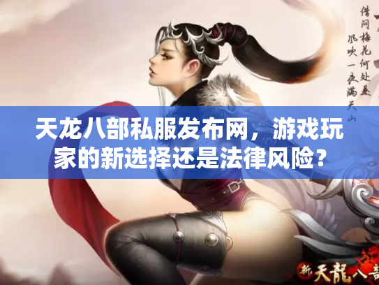 天龙八部私服发布网，游戏玩家的新选择还是法律风险？