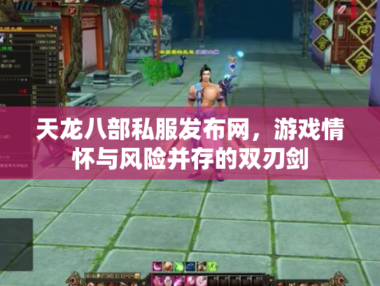 天龙八部私服发布网，游戏情怀与风险并存的双刃剑