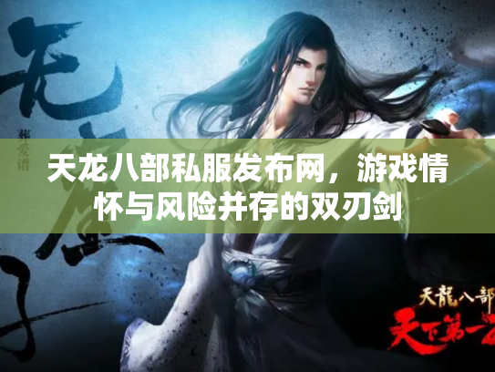 天龙八部私服发布网，游戏情怀与风险并存的双刃剑