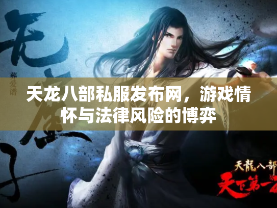 天龙八部私服发布网，游戏情怀与法律风险的博弈