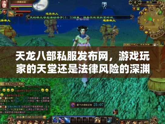 天龙八部私服发布网，游戏玩家的天堂还是法律风险的深渊？