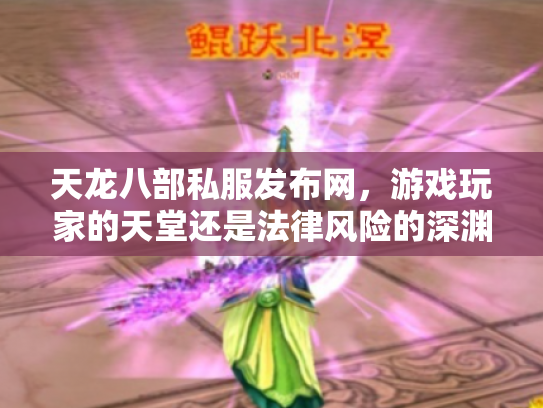 天龙八部私服发布网，游戏玩家的天堂还是法律风险的深渊？