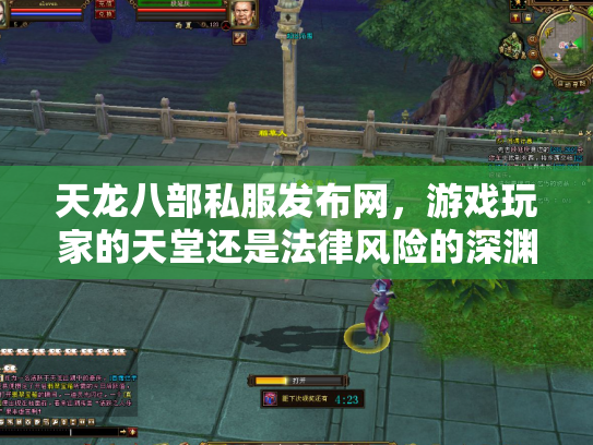 天龙八部私服发布网，游戏玩家的天堂还是法律风险的深渊？