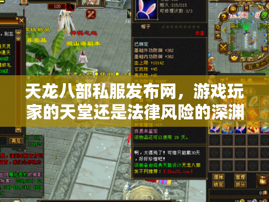天龙八部私服发布网，游戏玩家的天堂还是法律风险的深渊？