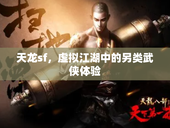天龙sf，虚拟江湖中的另类武侠体验