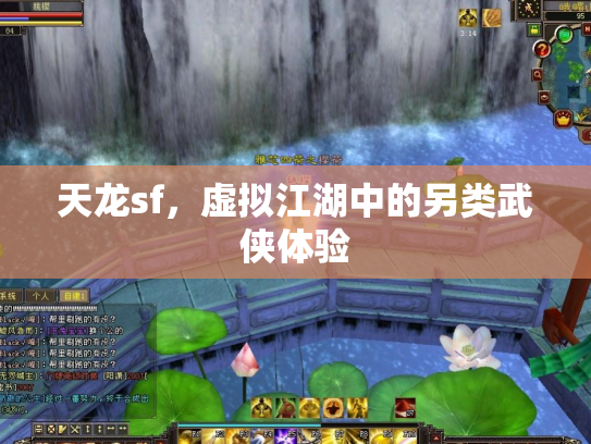 天龙sf，虚拟江湖中的另类武侠体验