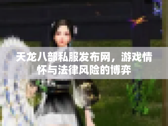 天龙八部私服发布网，游戏情怀与法律风险的博弈
