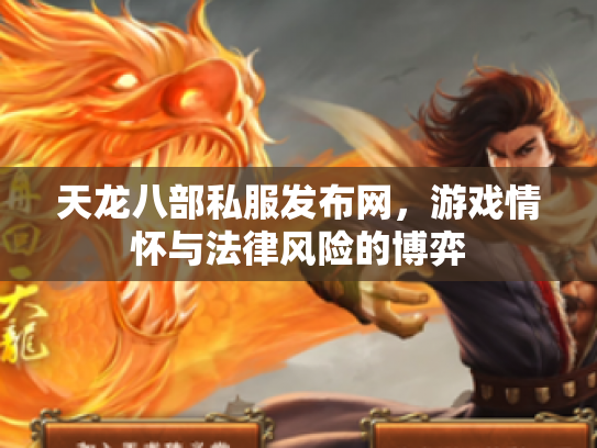 天龙八部私服发布网，游戏情怀与法律风险的博弈