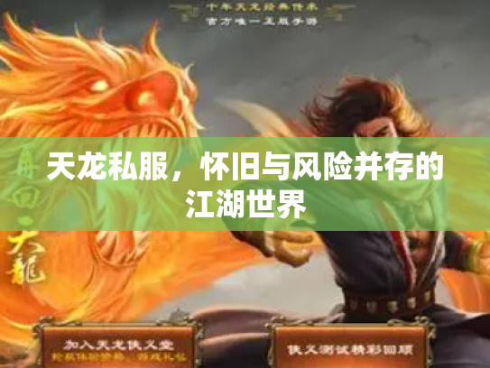 天龙私服，怀旧与风险并存的江湖世界