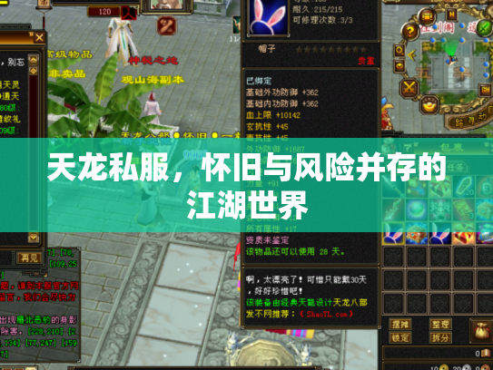天龙私服，怀旧与风险并存的江湖世界