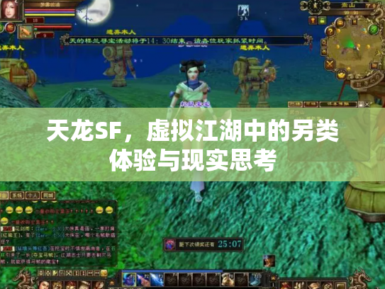 天龙SF，虚拟江湖中的另类体验与现实思考